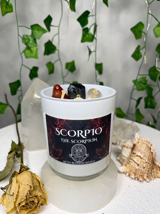 Zodiac Scorpio Candle